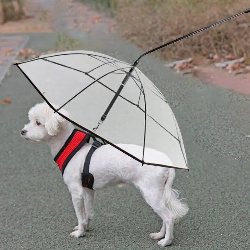 Lovely Pet Umbrella