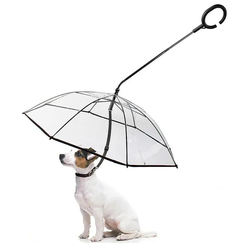 Lovely Pet Umbrella